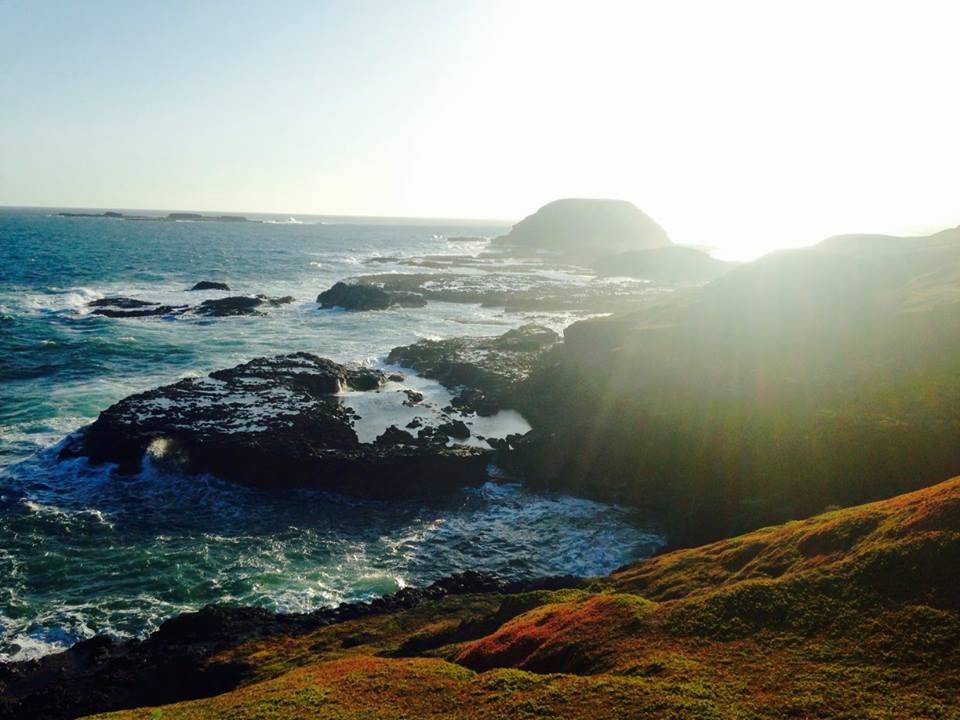 Phillips Island, Australia