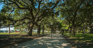 Charleston Park