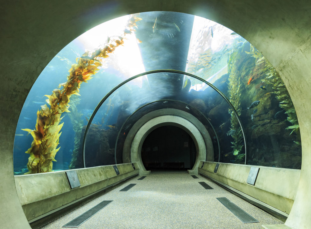 California Science Center