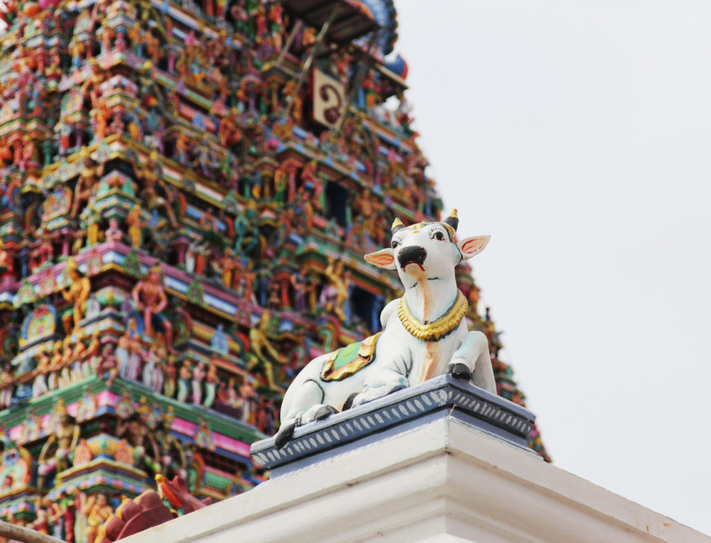 Details of indian Kapaleeswarar temple , Chennai, India
