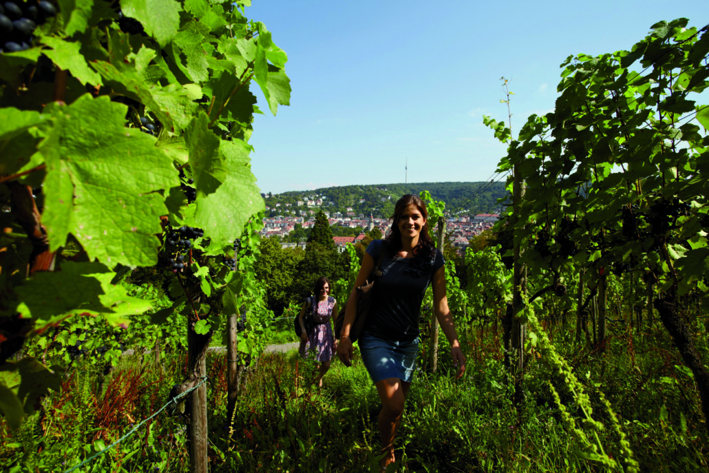 Karlshöhe, Weinberge © Stuttgart - Marketing GmbH