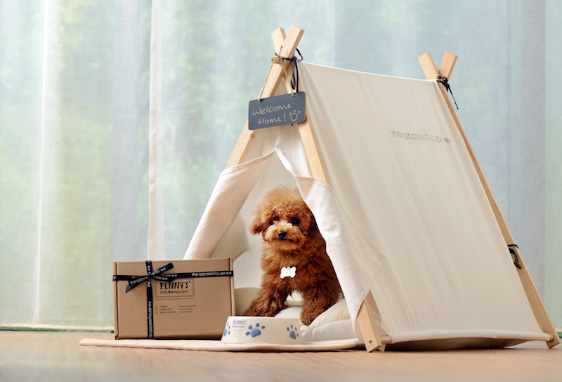 Dog Tent © The Opposite House