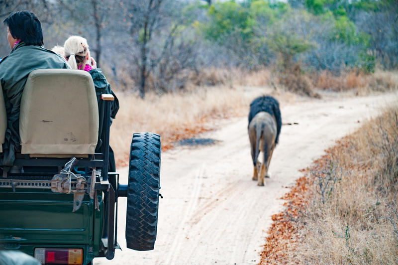 Kapama Private Game Reserve near the Kruger National Park in South Africa © Lcodacci | Dreamstime.com