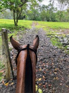 Horseback Riding © Rina Nehdar