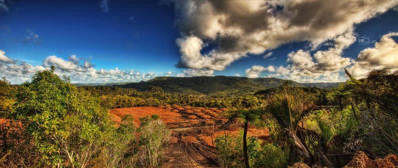 Waitakere Ranges Regional Park, New Zealand © Lukas Bischoff | Dreamstime.com
