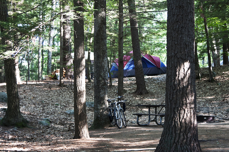Campsite in New Hampshire at Nottingham, Pawtuckaway State Park.