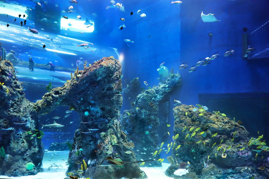 aquarium
