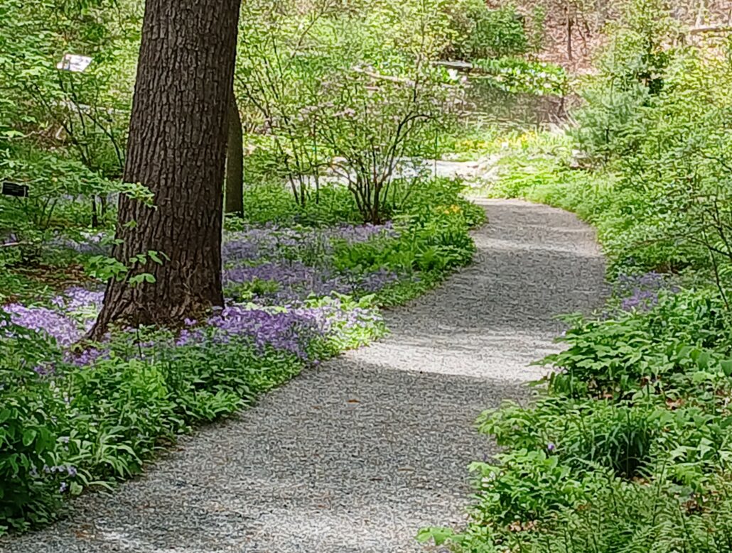 path