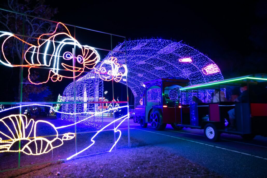 holiday lights