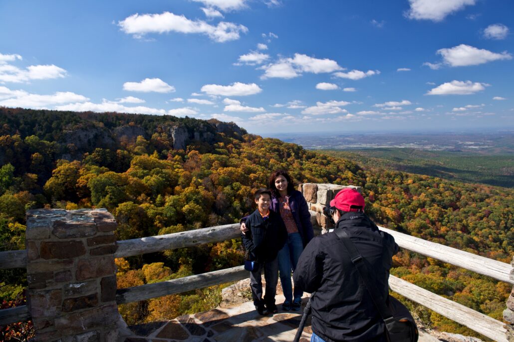 fall foliage