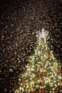 tree