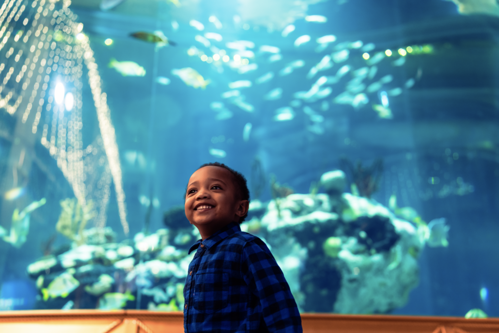 aquarium