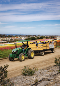 tractor ride